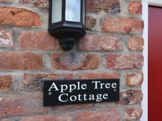 Apple Tree Cottage - 9