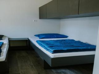 Comfortable forest lodge with open space - 2