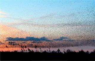 Goose Feather Barn, Wedmore luxury cottage for two - 6