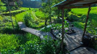 Chibacall ชิบะคอล, Karen Mountain Hideaway Homestay - 6