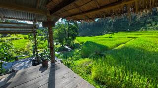 Chibacall ชิบะคอล, Karen Mountain Hideaway Homestay - 5