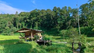 Chibacall ชิบะคอล, Karen Mountain Hideaway Homestay - 3