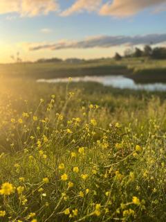 Hostel de campo La Providencia - 6