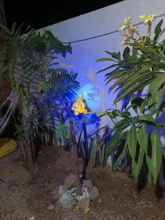 Blue Sapphire guest house - 8