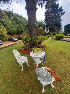 Mistyloft by East West - 4