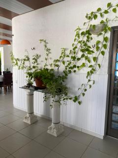 Blue Sapphire guest house - 2