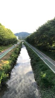 Modern house with forest - 7