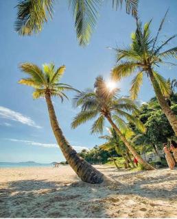 lançamento Pousada Machados Florianopolis - 4