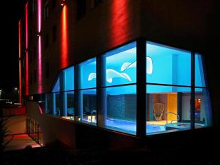 Mercure Bale Mulhouse Aeroport - 2