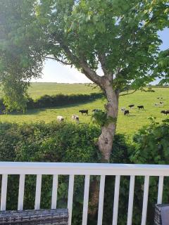 E67 DURDLE DOOR Ref 11663 - 1