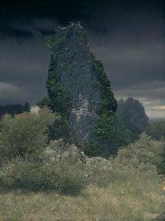 Mamere Homestay Raja Ampat - 7