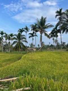 Senaru Guesthouse - 9