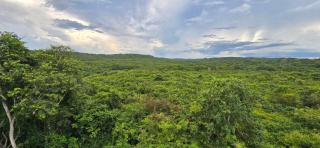 Hotel El Paraíso Calakmul - 5
