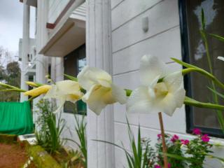 THE RiVERSIDE WHITE VILLA - 5