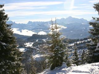 Charmant studio 4 pers au Praz de Lys, proche pistes et commerces - FR-1-815-15 - 6