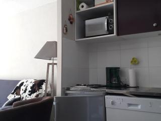 Studio charmant avec terrasse et parking au Praz de Lys - FR-1-815-19 - 8