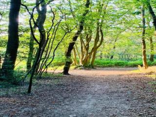 Holiday Home Bergen near Forest & Beach - 8