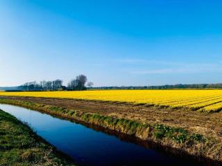 Holiday Home Bergen near Forest & Beach - 6