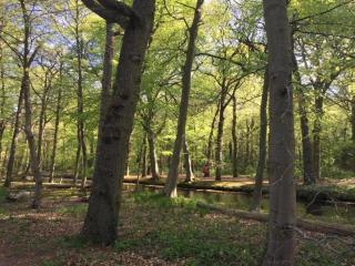 Holiday Home Bergen near Forest & Beach - 1