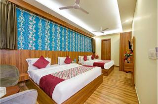 Hotel Red Plaza Near Delhi Airport-Free Airport Transffer - 1