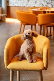 Cheval Maison - The Palm - 9