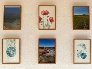 Holiday Home With Panoramic Views On Helgenæs - 1