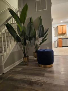 Stylish 4-bed home, Near UD & Christiana Hospital - 7