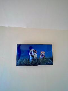 Diiza Glamping Tawangmangu - 3