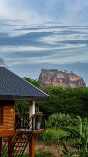 Lion Wood Treehouse - 7