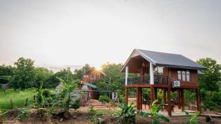 Lion Wood Treehouse - 9