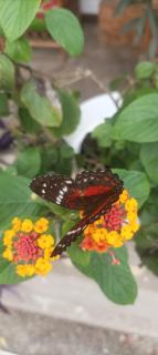 Hostal Villa Brisa - 1