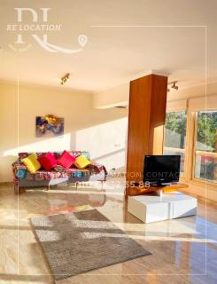 Lovely gorgeous apartment among green Maadi - 7