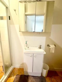 Studio room ensuite bathroom Brisbane City near Kangaroo Point and Gabba Cricket stadium - 7