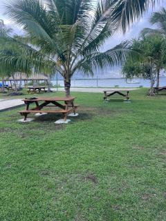 Bora bora studio vacation - 6