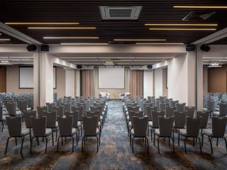 Mercure Conacul Cozieni - 6