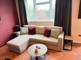 Central apartment 5 mins Putney tube station - 0