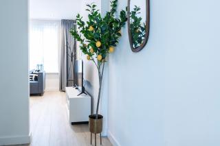 Fresh And Equipped Apartment Near Hotspots - 2