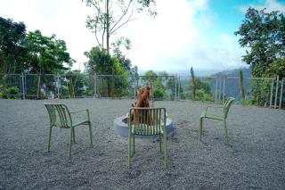 Zeezmount Resorts & Spa Munnar - 1