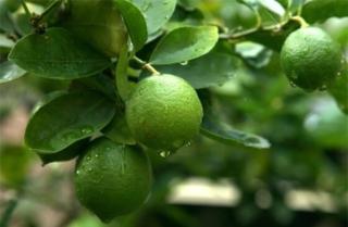 Apartamento Río Niño - 6