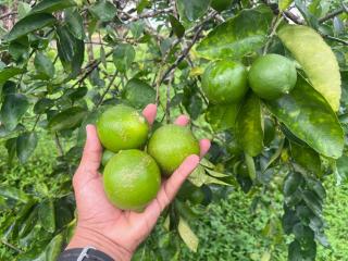 Apartamento Río Niño - 2