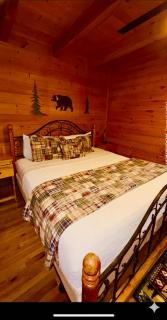 Prime Mountain Cabin - Near Galinburg Downtown - 8