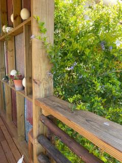 Bokmakierie Studio - 6