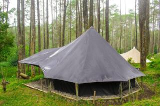 Lembah Pinus Cikole - 3