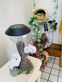 菜音天然温泉別荘 - 3