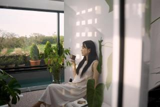 Jeju Rapauza Stay - 5