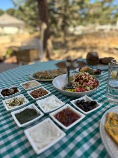 Matar baYaar מטר ביער - 8