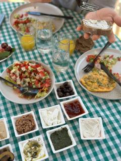 Matar baYaar מטר ביער - 9