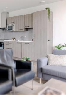 4-bed Apartment Kitchen Free Parking - 6