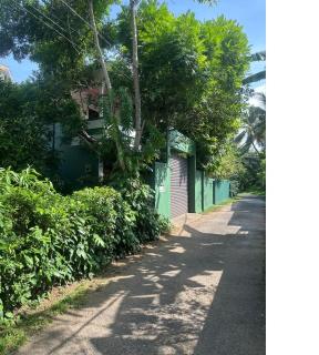 Herin Green House - 2
