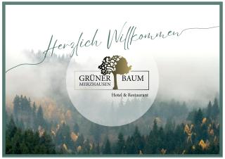 Hotel & Restaurant Grüner Baum Merzhausen - Freiburg im Breisgau - 0